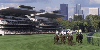 Nas Poules, domingo em Longchamp, 19 potros e 14 potrancas