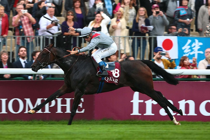 Para a Timeform, Solow, Trêve e Cirrus des Aigles , entre os mais velhos, Gleneagles, entre os três anos, os melhores