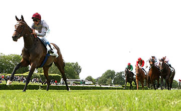 Grand Prix de Saint Cloud: correm nove, a grande Trêve entre eles