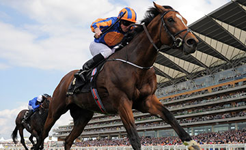 Show impressionante de Gleneagles no St. James’s Palace Stakes (G1)