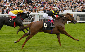 O Diamond Jubilee Stakes (G1), há pouco em Ascot, foi do visitante americano Undrafted