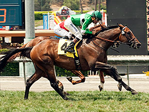 Going Somewhere chega segundo em G3 em Santa Anita. Vitória de Crucero