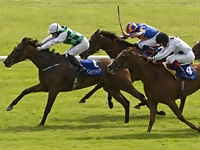 Em Curragh, Diamondsandrubbies ganhou o Sea The Stars Pretty Polly Stakes (G1)