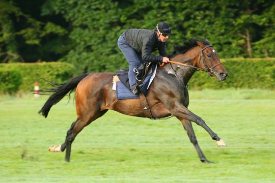 Trêve e mais 12 estão ainda no campo do Grand Prix de Saint-Cloud (G1)