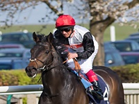 No Investec Derby (G1), sábado em Epsom, doze potros na largada