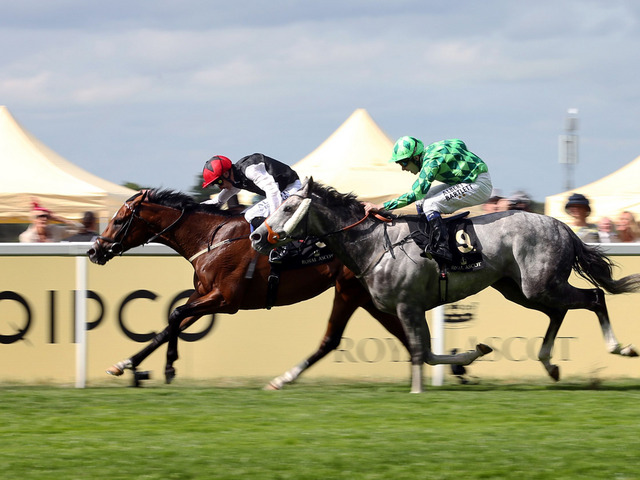 O Prince of Wales’s Stakes (G1), no Royal Ascot, foi de Free Eagle