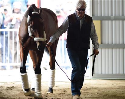 American Pharaoh partirá da baliza cinco no Belmont Stakes (G1) para tentar tornar-se tríplice coroado