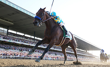 American Pharoah volta no dia 2 de agosto