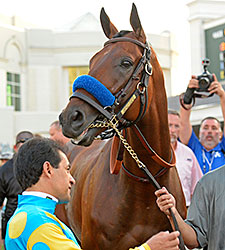 American Pharoah volta domingo no Haskell Invitational Stakes (G1)