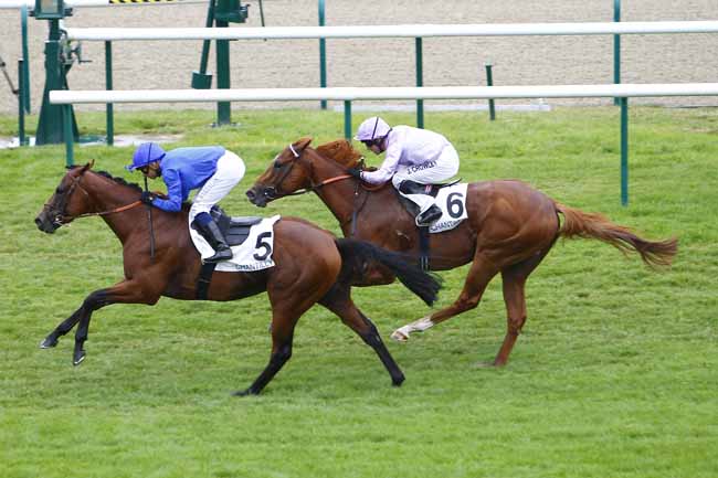 Territories brilha no Prix Jean Prat (G1)