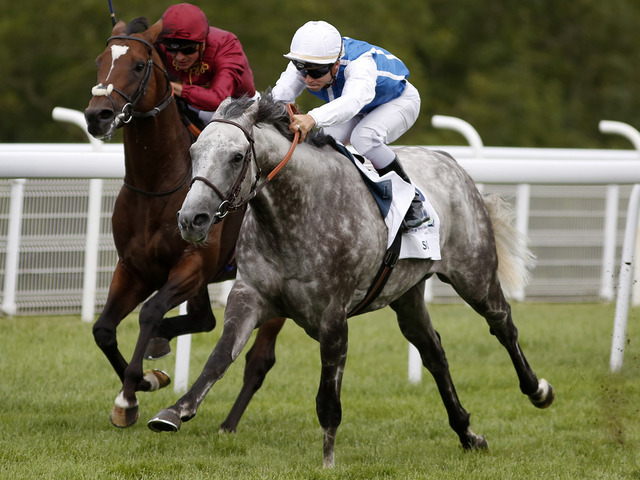 Solow brilha no Sussex Stakes (G1)