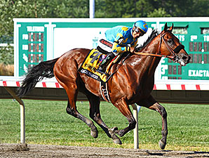 American Pharoah vence em grande estilo o Haskell Invitational Stakes (G1)