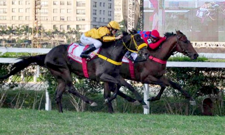 Under Control vence o Lure Stakes. Fixador chega em último