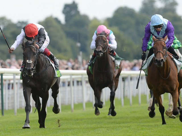 Golden Horn perde a invencibilidade em York para Arabian Queen, um dos grandes azarões do páreo