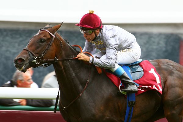 Trêve dá um show no Prix Vermeille (G1). Longchamp é o seu jardim.