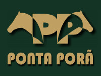 APPS: Amanhã, segunda etapa do Leilão do Haras Ponta Porã