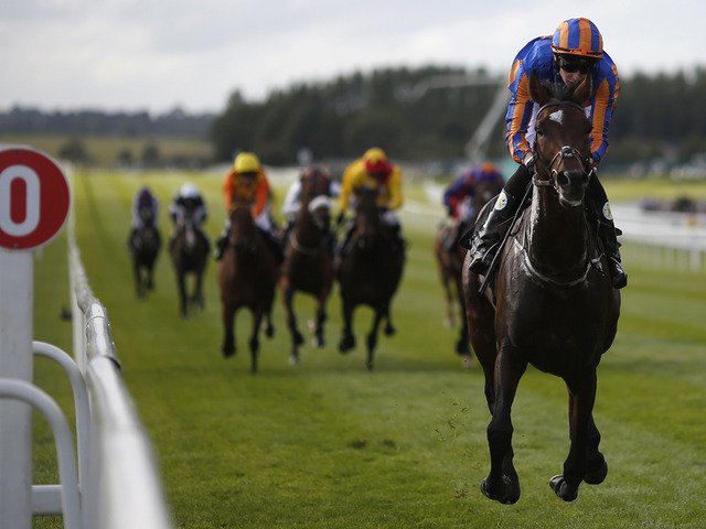 O Irish St. Leger foi de Order of St. George, uma tarde brilhante para A. O’Brien em Curragh