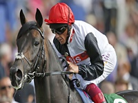 Na Breeder’s Cup Turf (G1), Golden Horn vai partir da baliza um