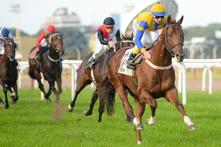 Hi Happy, com A. Domingos, venceu o Gran Premio Jockey Club (G1)