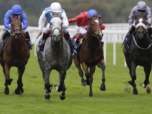 Solow se consagra como o melhor miler do mundo. Gleneagles fracassa