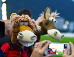 Cavalinhos do Fantástico iniciam o Campeonato Brasileiro no JCB