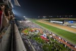 A partir das 8h15, deste sábado (30), Tv Turfe transmite o Festival da 28ª Dubai World Cup