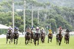 Tríplices Coroas, dois G3, Listed e Seletiva agitam o começo de fevereiro na Gávea