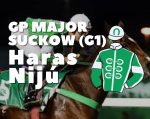 ADDED: GP Major Suckow – Haras Nijú (G1)