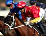 João Moreira brilha e Militarize vence o Golden Rose (G1), em Rosehill, Austrália