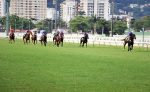 Potros e potrancas nas melhores carreiras da Gávea