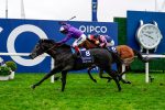 Criado na seção americana do Rio Dois Irmãos, King Of Steel vence o QIPCO Champion Stakes (G1), em Ascot