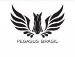 JCPR divulga os campos das provas do Festival Pegasus Brasil 2024