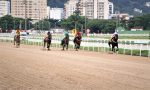 Arenáticos na melhor carreira da semana na Gávea