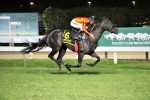 Bela exibição de Nice Dream no GP Octavio Dupont (G3)