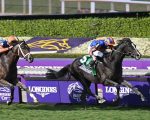 Direção fantástica de Ryan Moore dá a Auguste Rodin a conquista da BC Turf (G1)