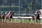 Domínio de Fierceness na Breeders’ Cup Juvenile (G1)