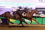 Woodbine (CAN): Ice Chocolat faz segundo em G2