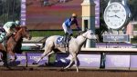 White Abarrio e a glória eterna da Breeders’ Cup Classic (G1)