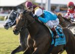 Ice Chocolat termina fora do placar em Gulfstream Park