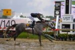 Seize The Grey vence o Preakness Stakes (G1) e acaba com a chance de Mystik Dan tornar-se Tríplice Coroado