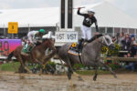 Campeão do Preakness, Seize The Grey vai correr o Belmont Stakes (G1)