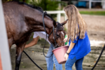 Jockey abre vaga para trainee veterinário, inscreva-se até 26/06