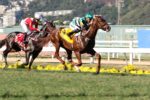 Melhor 2 anos do país, Oryx dá exibição de classe no GP Jockey Club Brasileiro – Haras Santa Rita da Serra (G1)