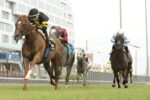 Vitória maiúscula de Filo di Arianna no Highlander Stakes (G2), em Woodbine