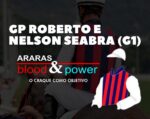 Balizamento GP Roberto e Nelson Seabra – Araras Blood & Power (G1)