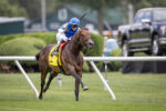 Ice Chocolat vence o Poker Stakes (G3), em Saratoga