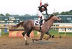 Parx: Seize The Grey vence o Pennsylvania Derby. Thorpedo Anna e Next não decepcionam