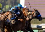 Em chegada espetacular, Subsanador vence a 1ª versão do California Crown Stakes (G1)