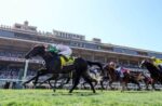 BC Turf Sprint (G1): Starlust, mais um europeu a vencer no gramado de Del Mar