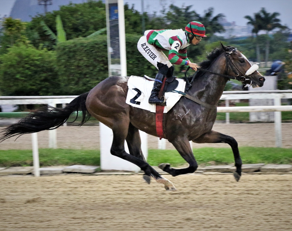 Galeria de Fotos – Confira os vencedores deste DOMINGO (22/12) no JCB